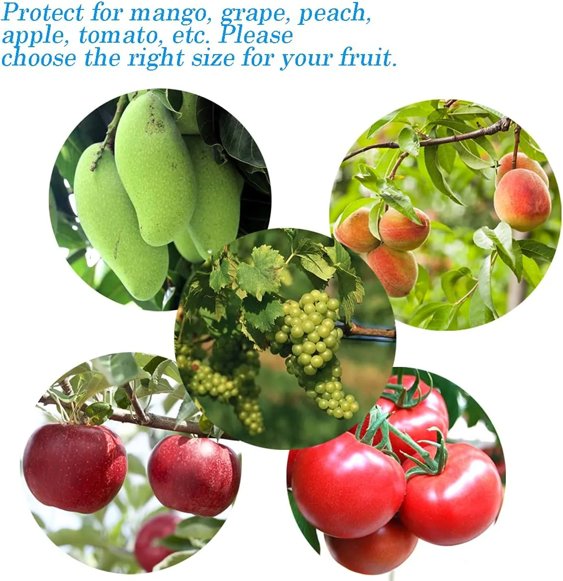 50PCS Green Netting Bags - 16x11'' Fruit Protection Bags for Trees, Garden, Flowers & Vegetables