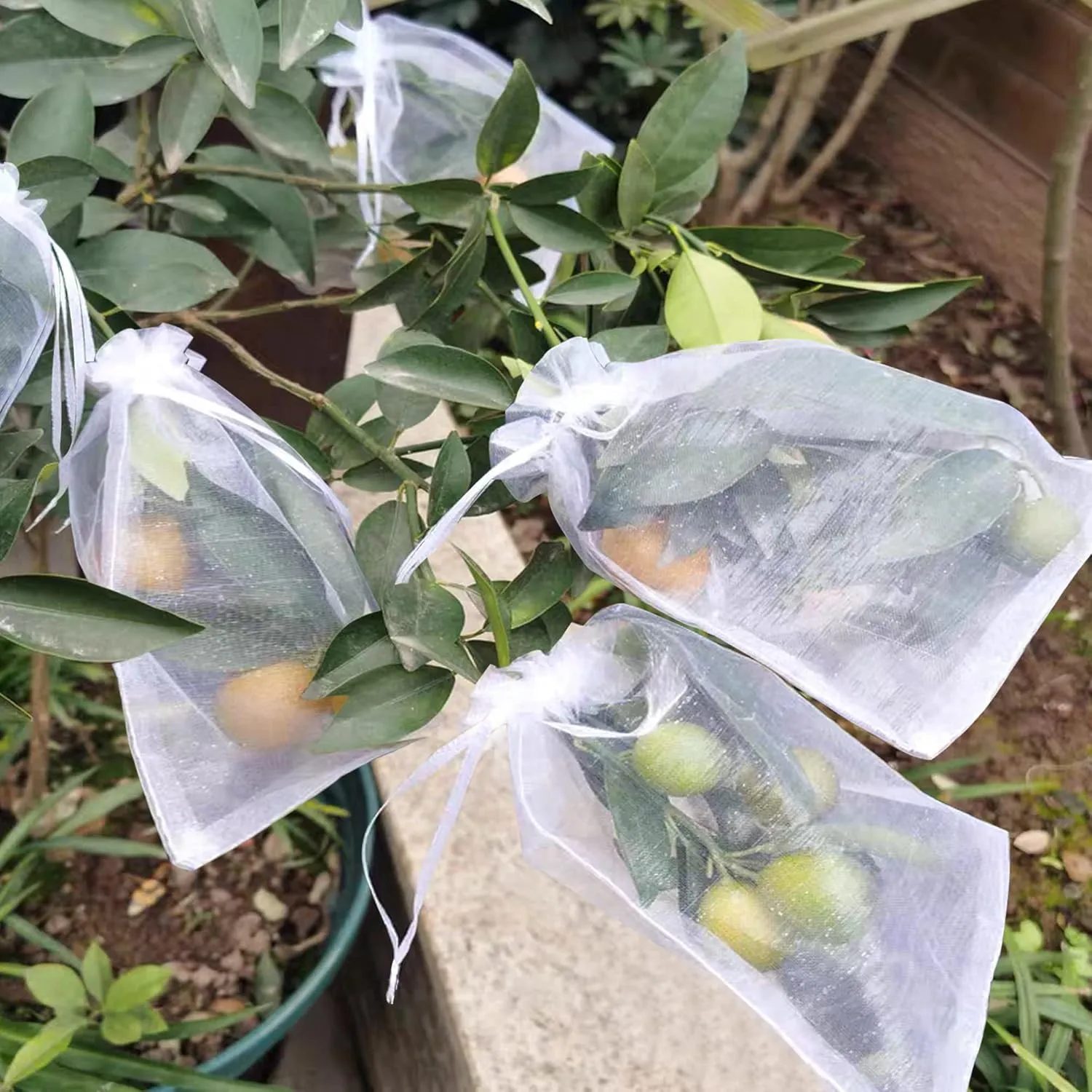 8x12 Inch 100 Pcs Penetrating Light Fruit Protection Bags- Organza Fruit Netting Barrier Bags,Garden Plant Fruit Mesh Bags with Drawstring