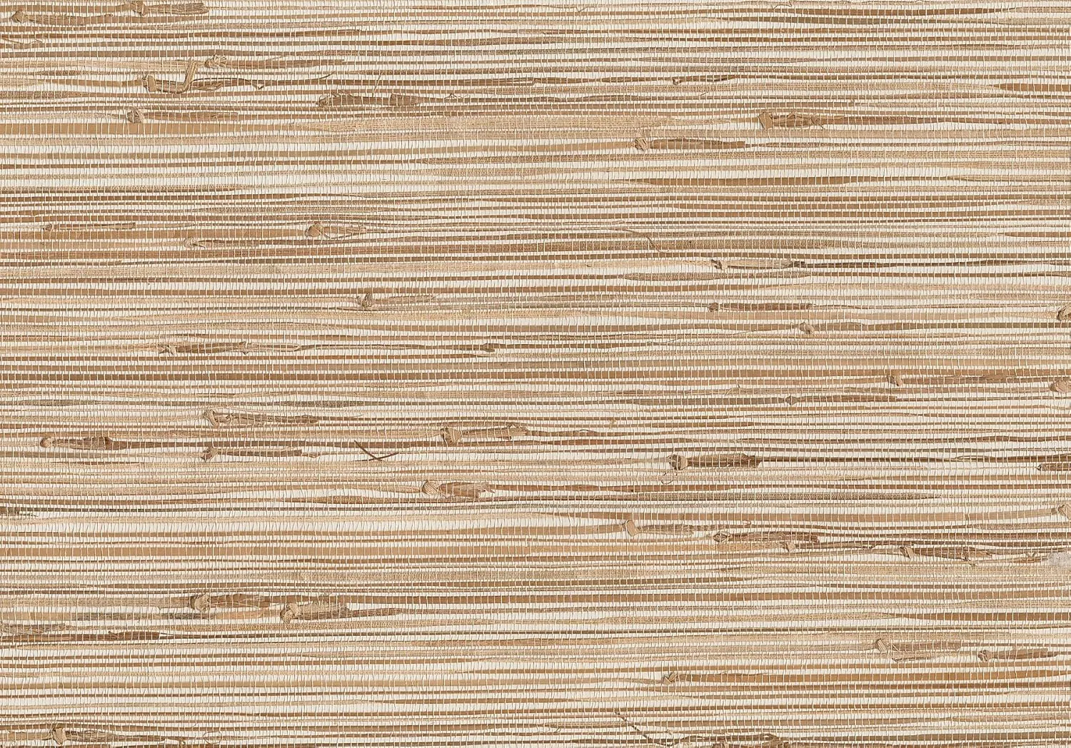 Brewster Home Fashions 53-65601 Kaziko Grasscloth Wallpaper, Khaki