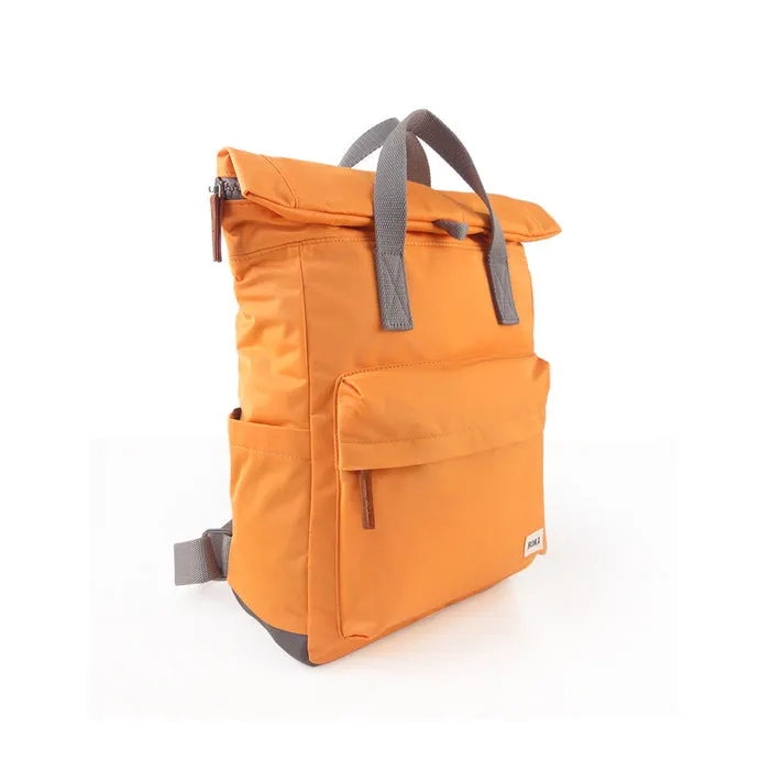 Canfield B Apricot