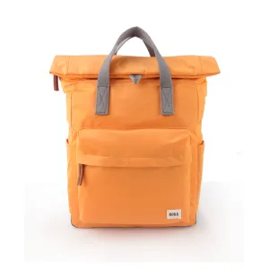 Canfield B Apricot