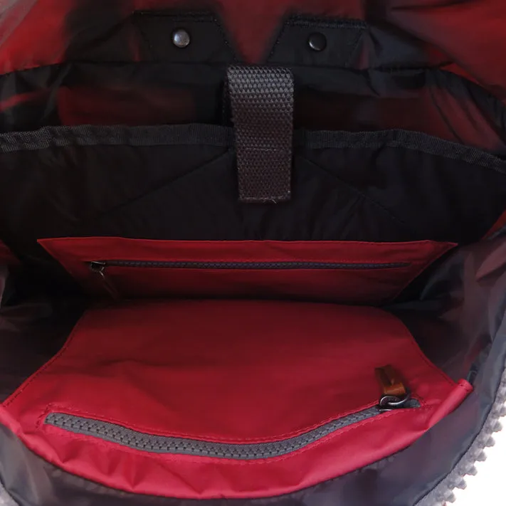 Canfield B Raspberry