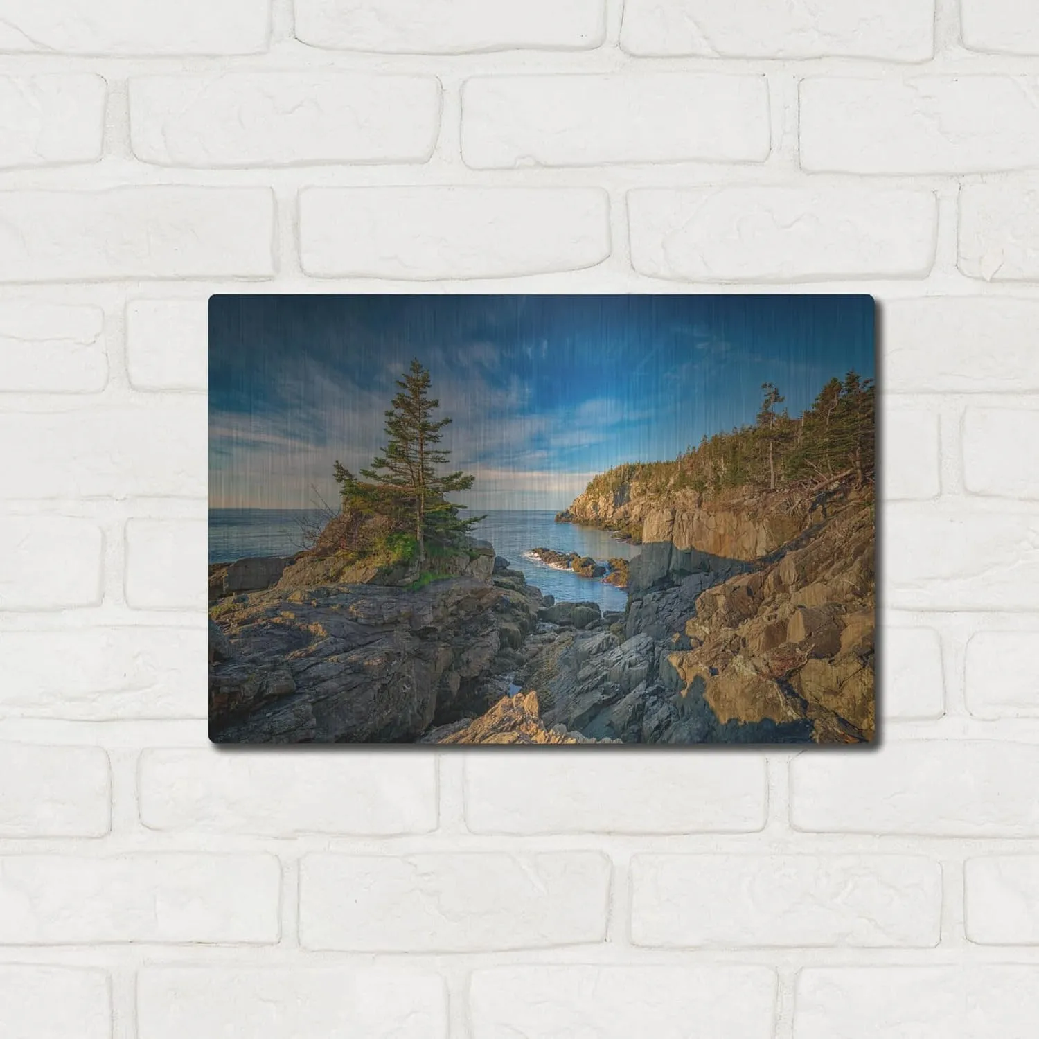 'Cliffs Of Quoddy Head State Park' by Rick Berk Metal Wall Art, 16" x 12"