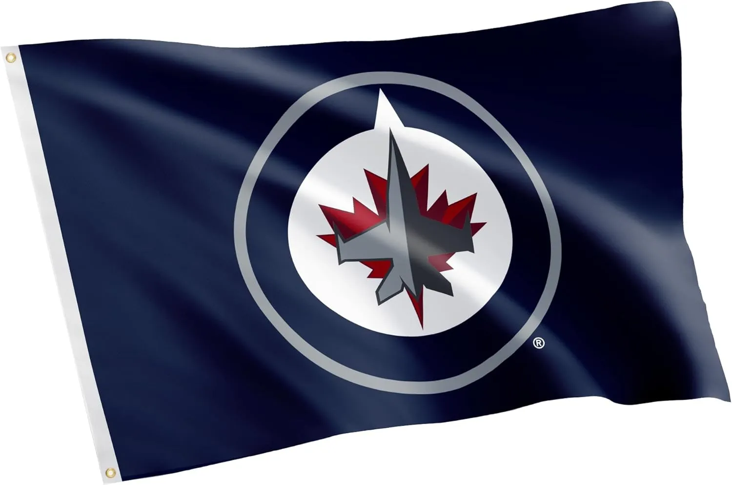 Desert Cactus Winnipeg Jets Flag NHL 100% Polyester Indoor Outdoor 3x5 feet National Hockey League Team Flags (Design #1)