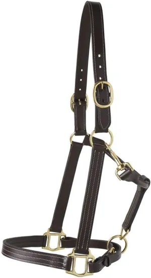 Dover Saddlery Suffolk Triple-Stitched Halter, Color: Brown, Size: Cob-C/S
