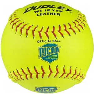 Dudley NJCAA Game Softball (DZN)
