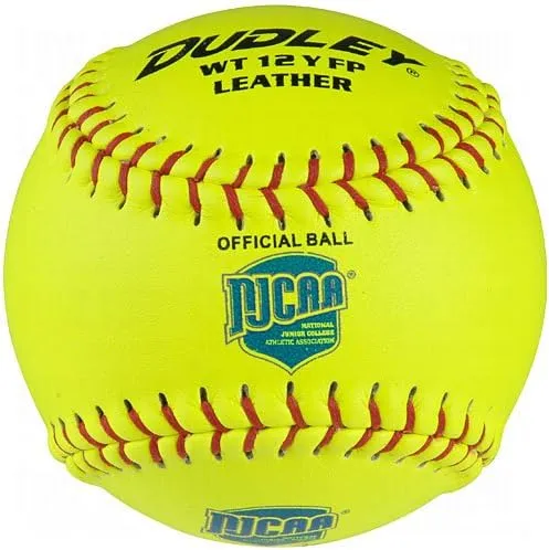 Dudley NJCAA Game Softball (DZN)