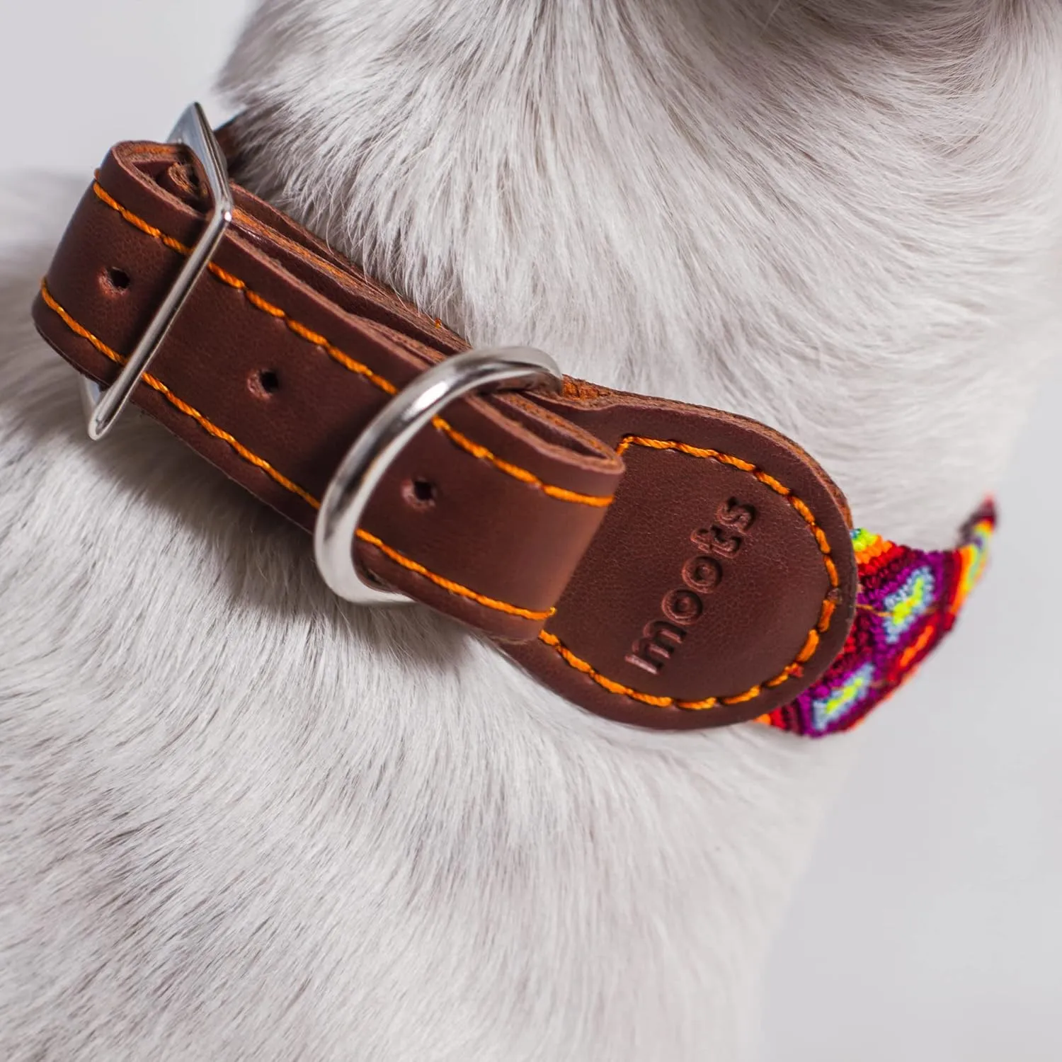 Moots Root Handmade Pet Collar, Nylon and Leather, Adjustable for Small Dogs, Reinforced Steel Buckle, Colorful and Durable Design, Comfortable and Easy to Clean.