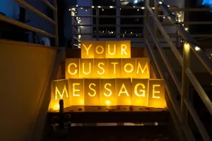 "20 Most Common Letters" Luminary Bags with Tea Light Candles to Light Up Letters Perfect for any custom sign creates personalized birthday banner, happy anniversary banner and congratulations banner