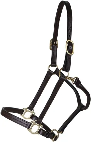 Schneiders Premier Fort Worth 3/4 Leather Halter for Horses | Designed for Refined Heads | Softer Buffalo Leather | Solid Brass Hardware | Customizable Fit | Clean Look