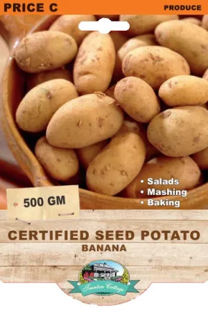 Seed Potatoes - Banana