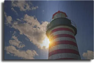 'Shining Through At West Quoddy Head' by Rick Berk Metal Wall Art, 16" x 12"