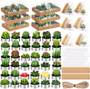 Treela 36 Pcs Succulent Cactus Tealight Candles with 36 Organza Gift Bags and 36 Thank You Card Tag Cute Candles Gifts for Fiesta Christmas Birthday Wedding Party Favors