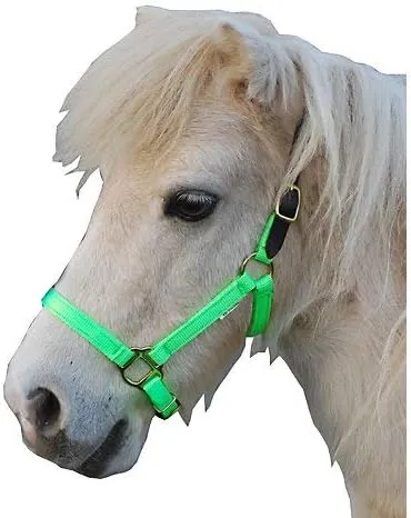 Triple E Nylon Mini Halter w/Leather Crown LG Lime