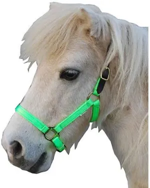 Triple E Nylon Mini Halter w/Leather Crown LG Lime