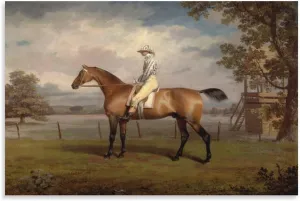 WBCNG Portrait of A Racehorse - 18th Century Oil Painting - George Garrard Canvas Wall Art Print Poster For Home School Office Decor Unframe-style 12x18inch(30x45cm)