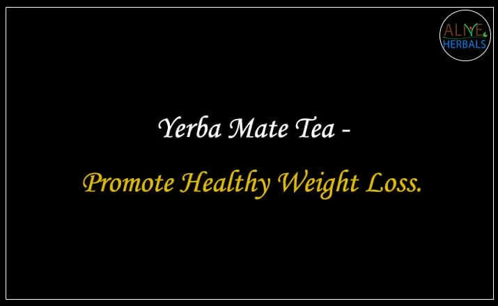 Yerba Mate Tea