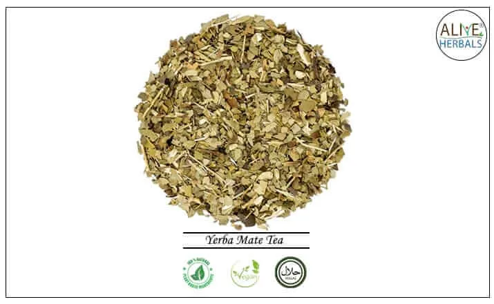 Yerba Mate Tea