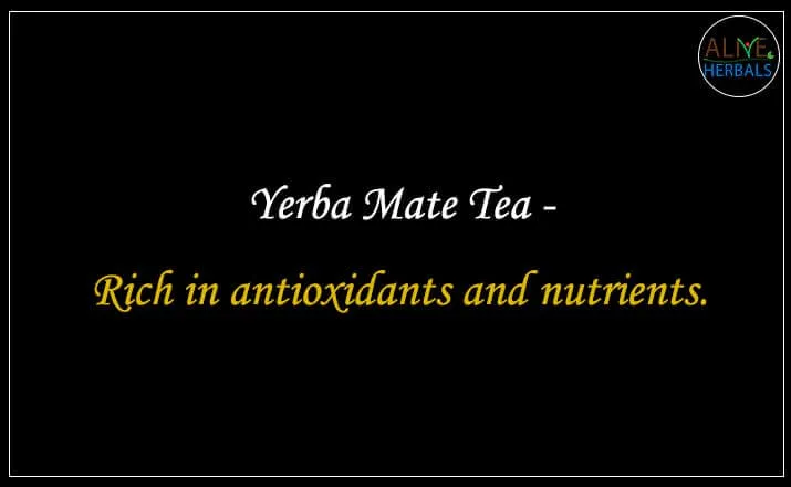 Yerba Mate Tea