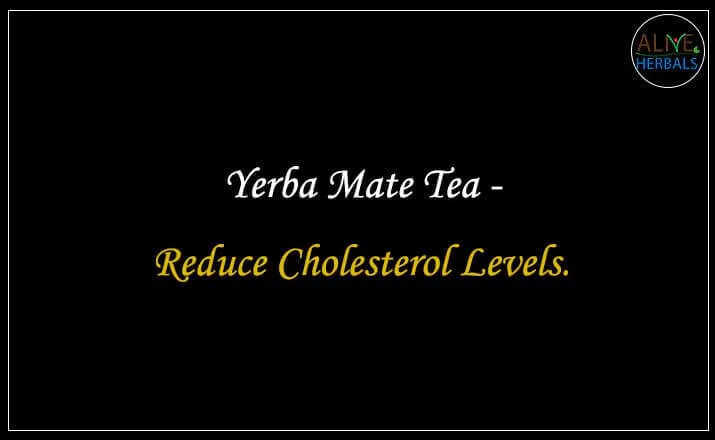 Yerba Mate Tea